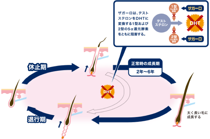 ソーシャルメディアの重要性の引用