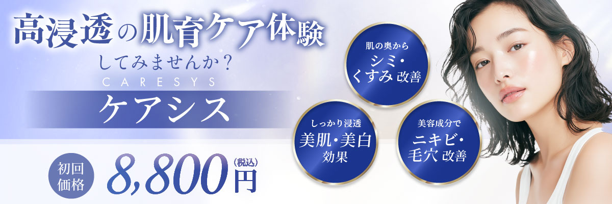 肌の奥からシミ・くすみ改善 しっかり浸透美肌・美白効果 美容成分でニキビ・毛穴改善 全顔1回 8,800円(税込)