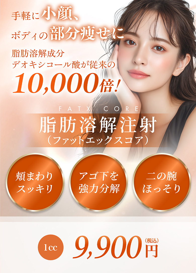 頬まわりスッキリ アゴ下を強力分解 二の腕ほっそり 1cc 9,900円(税込)