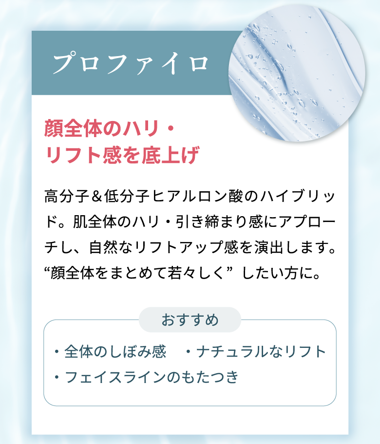 プロファイロ