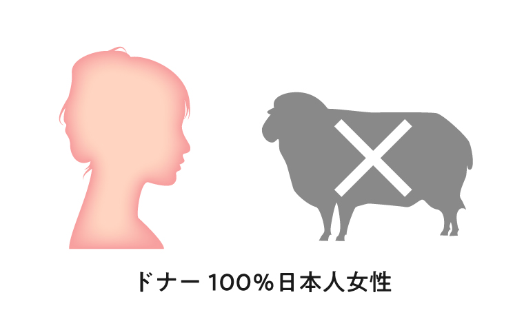 Point.3【安全性】ドナー100%日本人女性