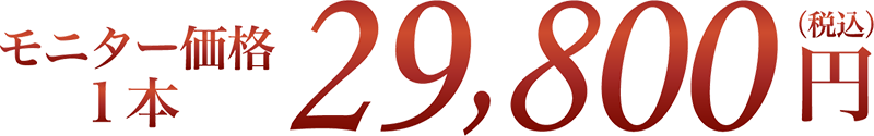 モニター価格 1本 29,800円(税込)