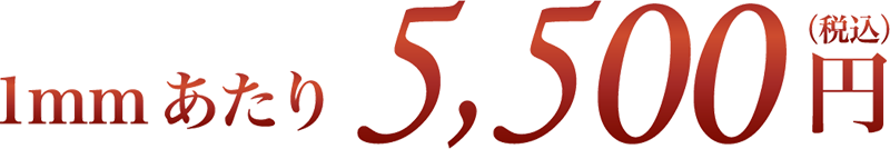 1回22,000円(税込)