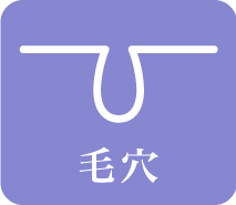 毛穴