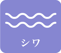 シワ