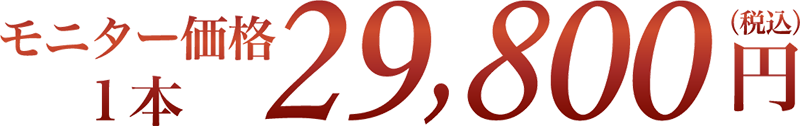 モニター価格 1本 29,800円(税込)