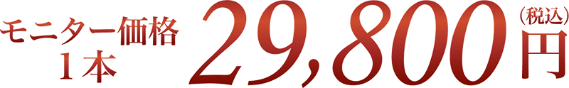 モニター価格 1本 29,800円(税込)