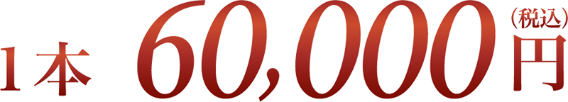 1本 60,000円(税込)