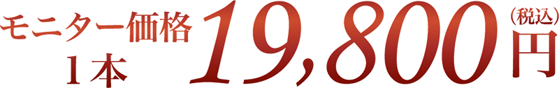 モニター価格 1本 19,800円(税込)