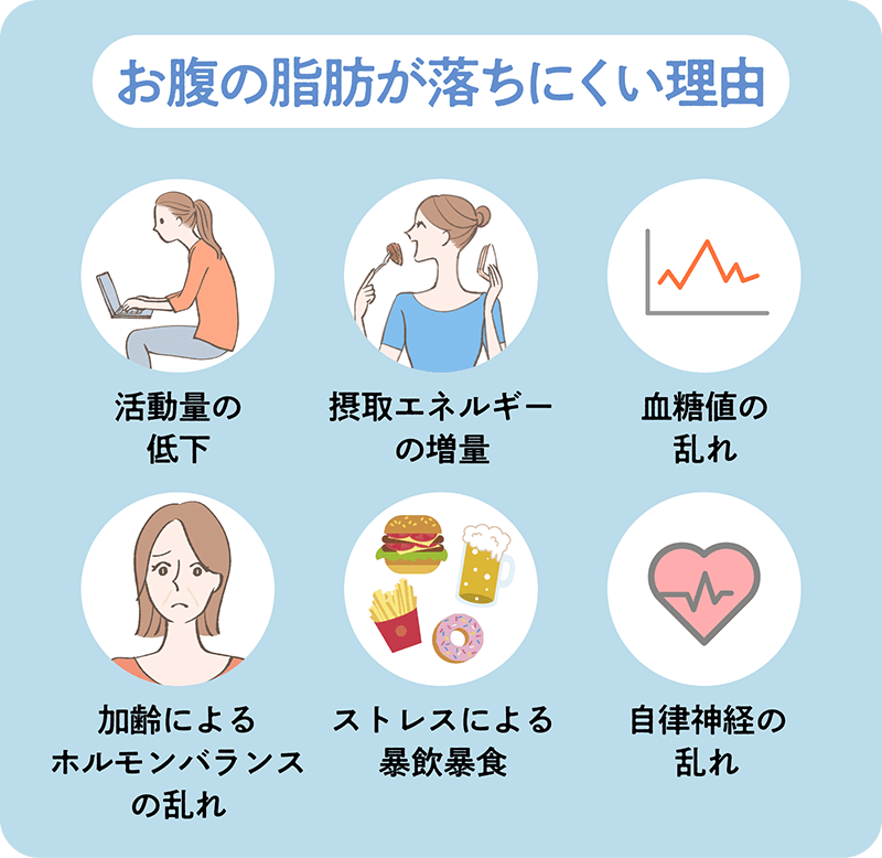 お腹の脂肪が落ちにくい理由